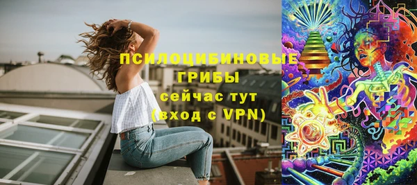 прущие крисы Зеленодольск