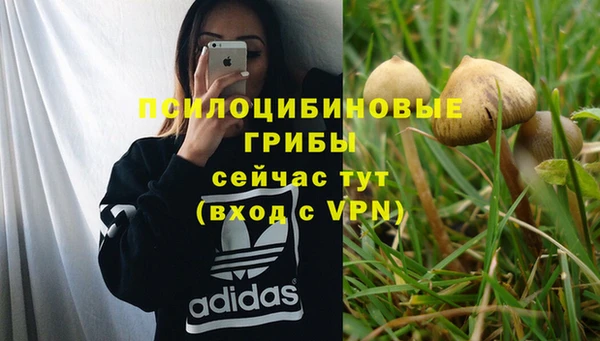 герыч Зерноград
