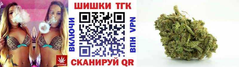 Каннабис планчик  Купить закладки  Новопавловск 